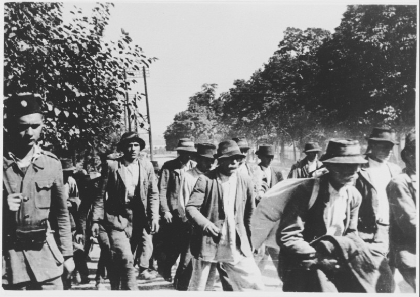 Victimes invisibles de la guerre : Les Roms sous les oustachis et les nazis